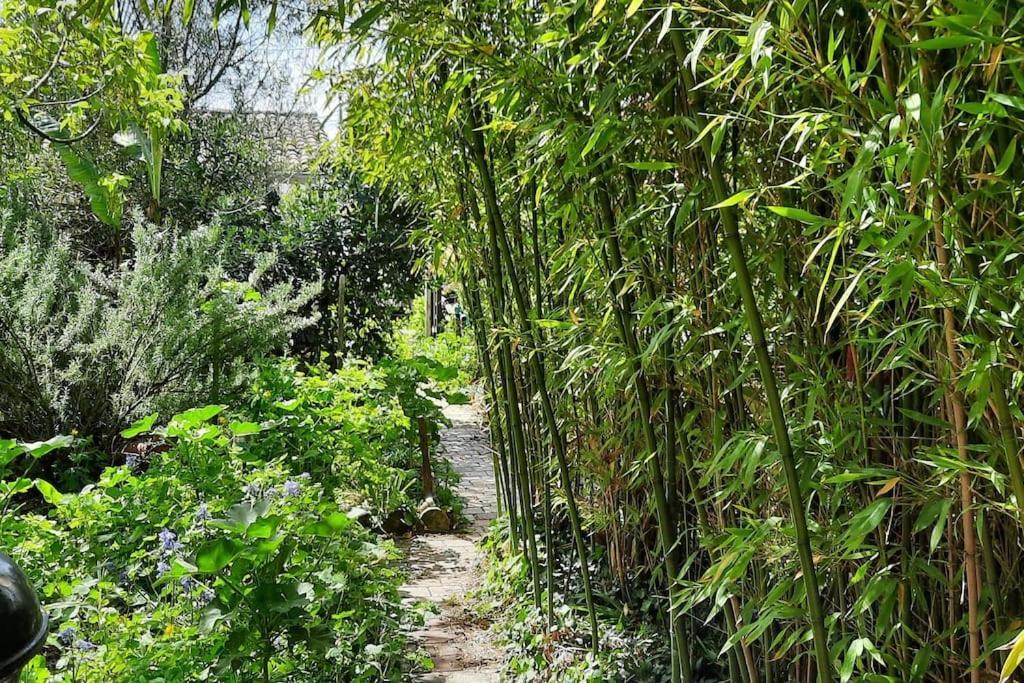 Villa D'Artiste Comprenant 2 Chambres Avec Salles De Bain Privatives Αρασόν Εξωτερικό φωτογραφία